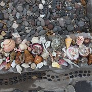 IMG 0001 2 (127)